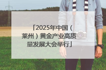 2025年中国（莱州）黄金产业高质量发展大会举行